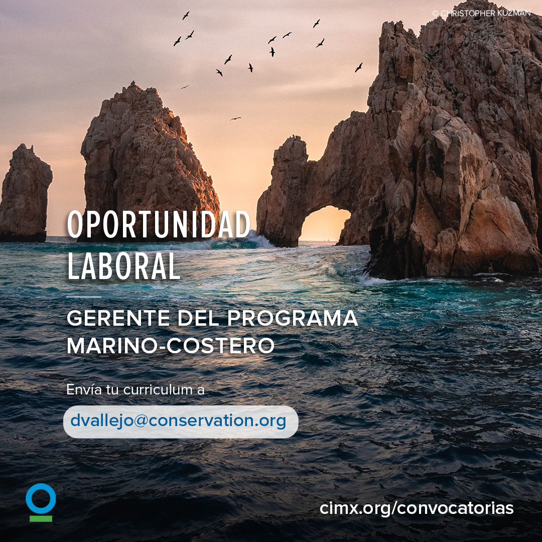 OL-Gerente-Marino