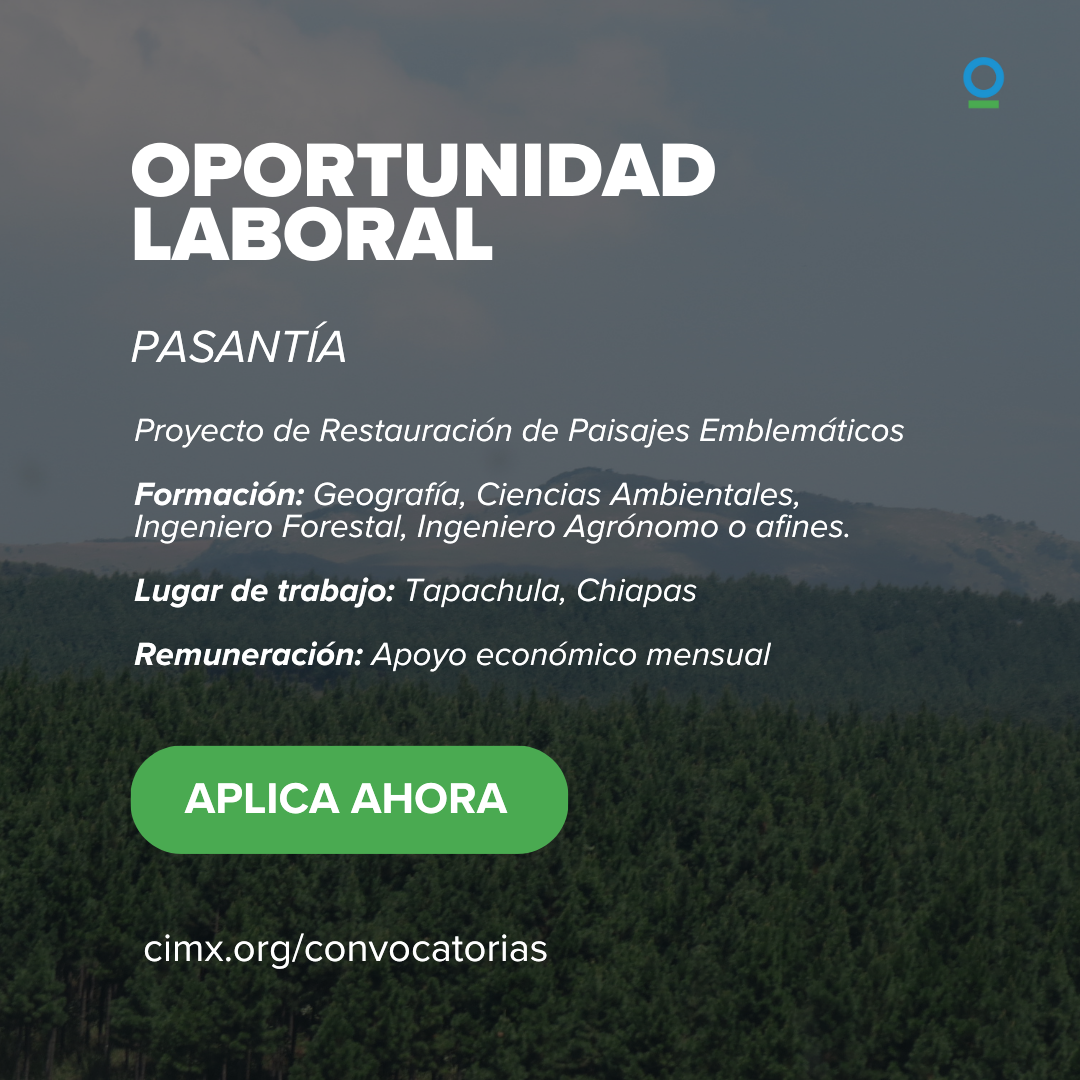 ConsultoríaRecopilaciónInformación ConsultoríaRecopilaciónInformación