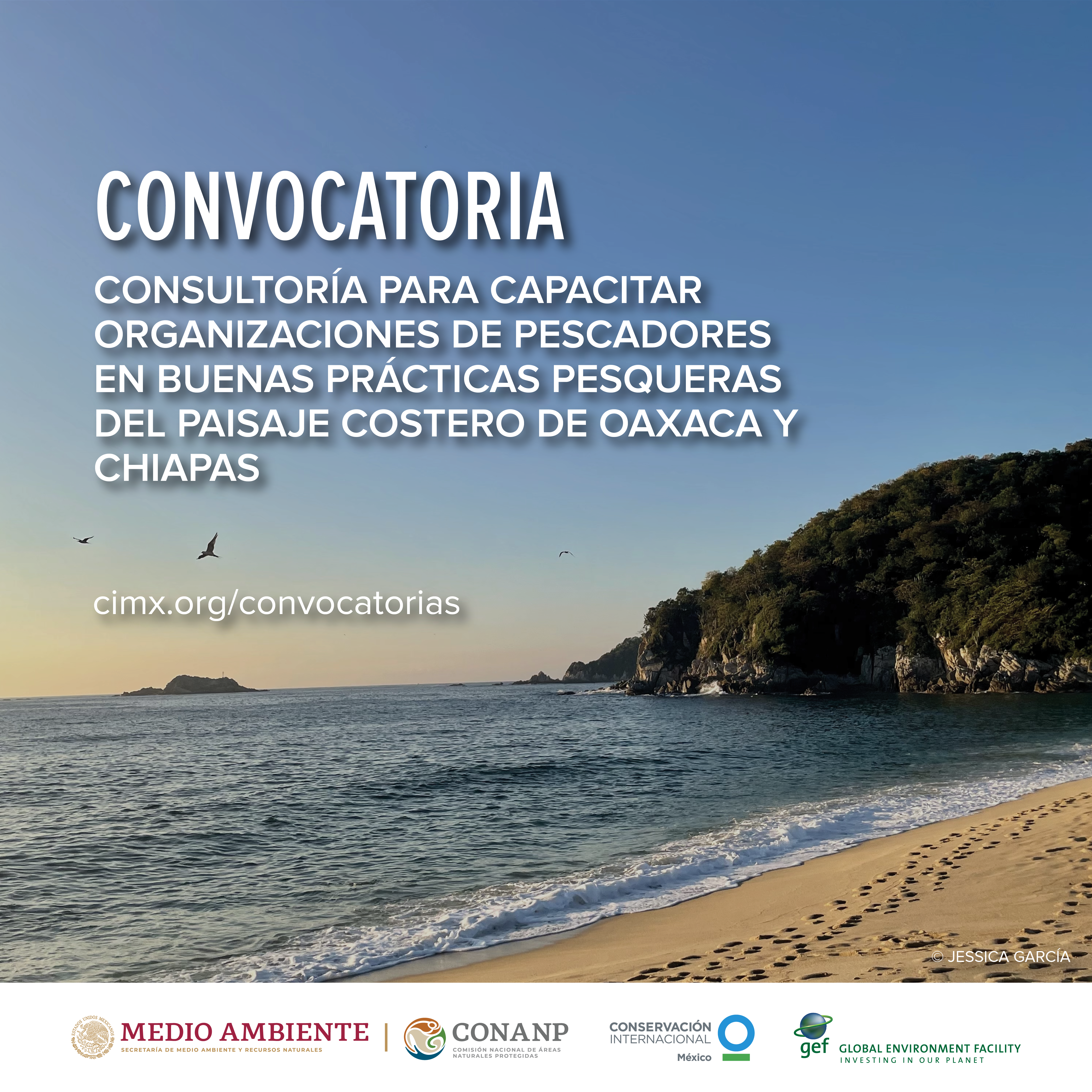 Estudios Carga Turística EstudiosCargaTurIstica