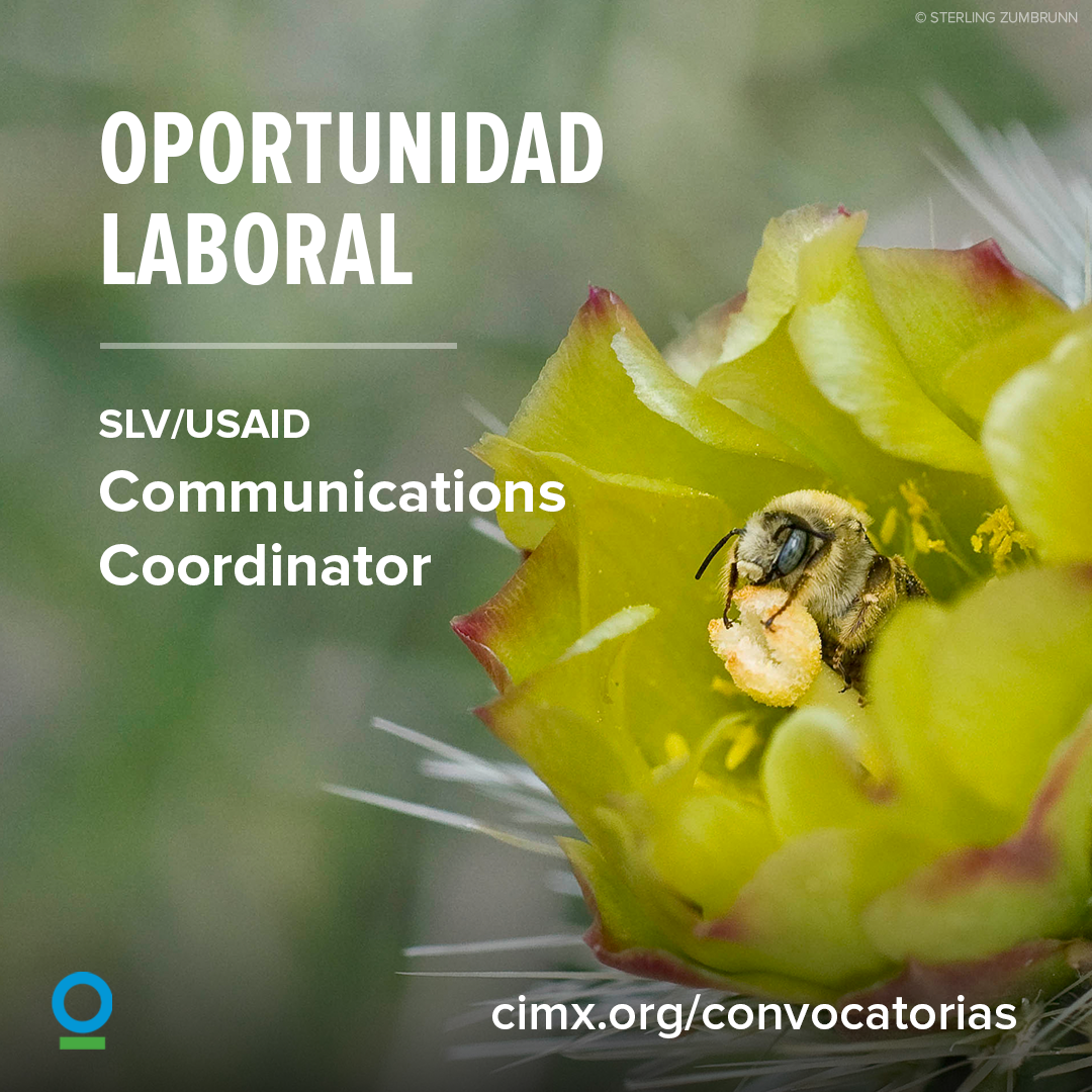 slv-usaid-comms-coord