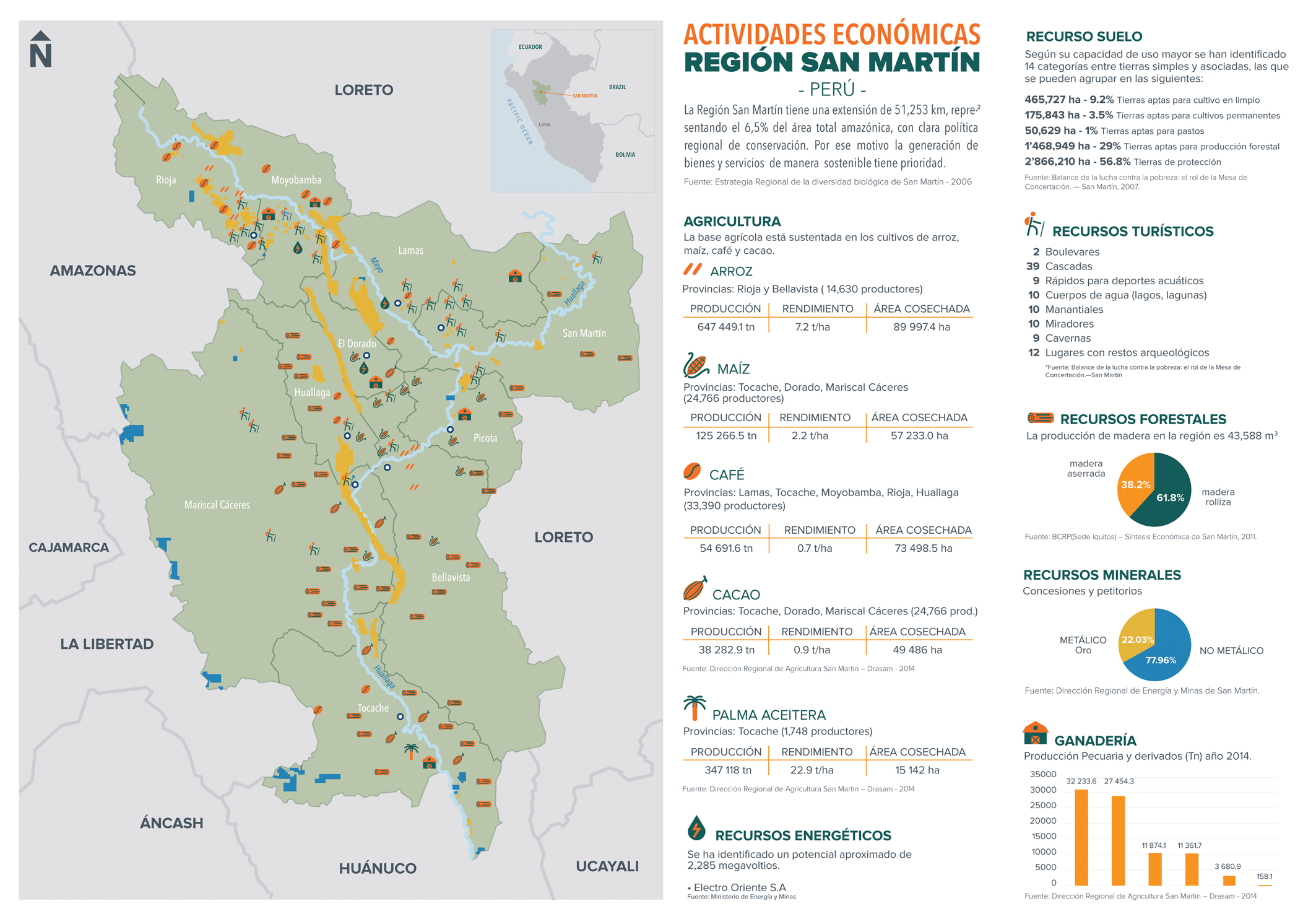 MAPA-ACTIVIDADES-ECONOMICAS-SAN-MARTIN-WEB Actividad económica en San Martín, Perú