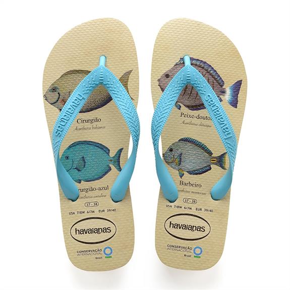 17-1 Havaianas Modelo Cirurgião