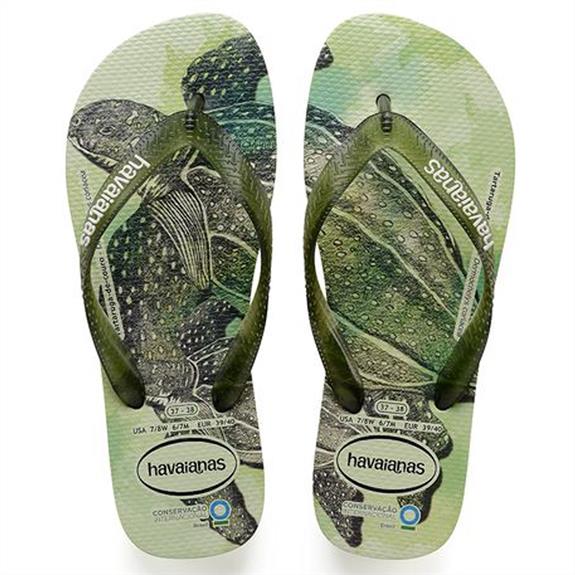18-3 Havaianas Modelo Tartaruga-de-couro
