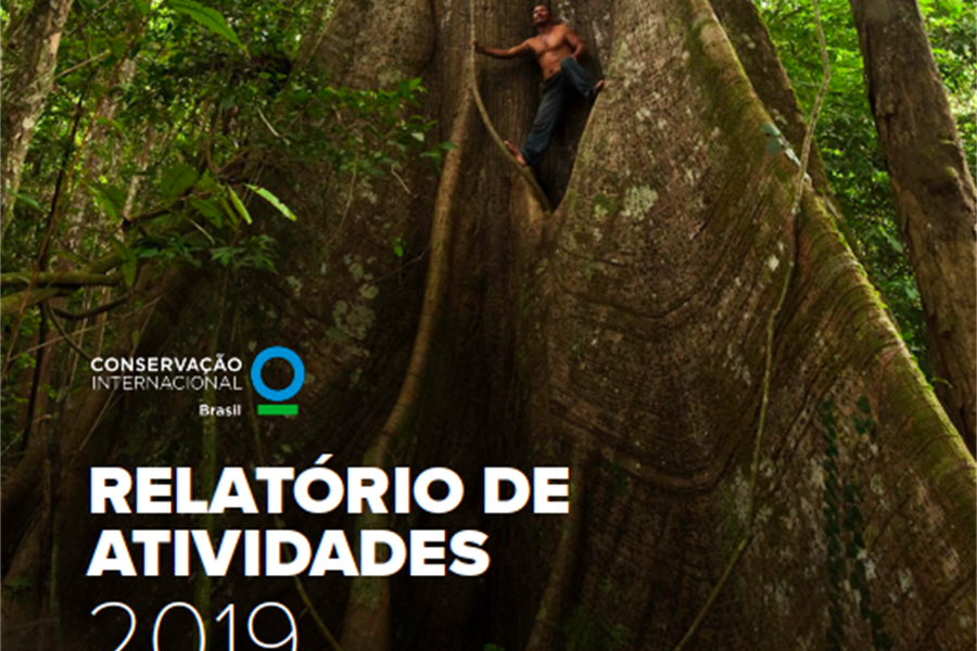 Relatorio-Anual-2019 Relatório Anual 2019