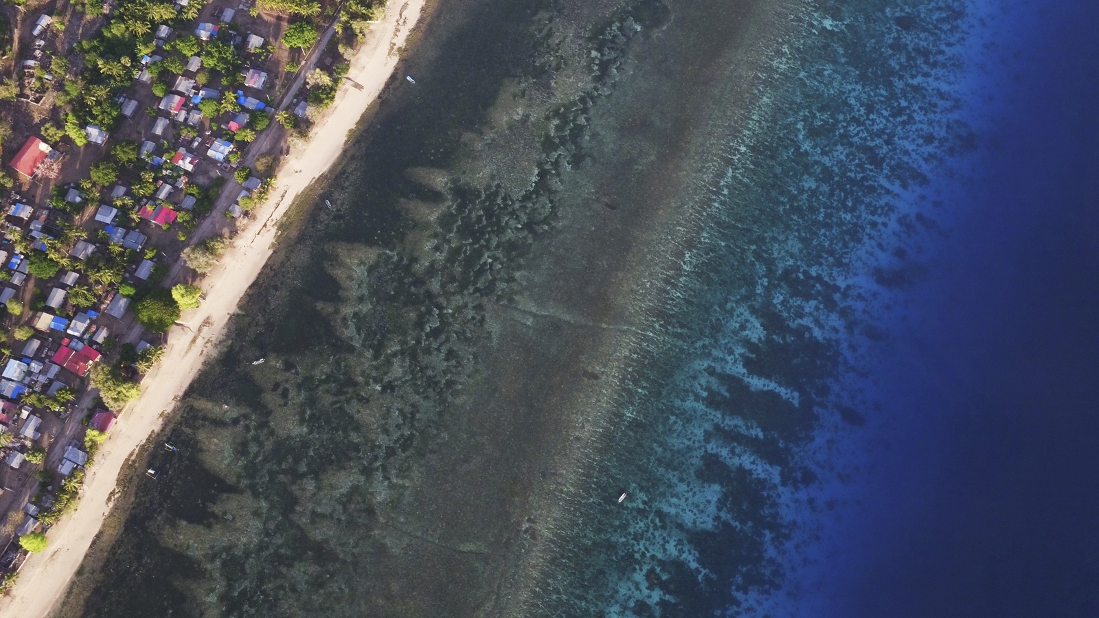 Coast to reef Coast to reef