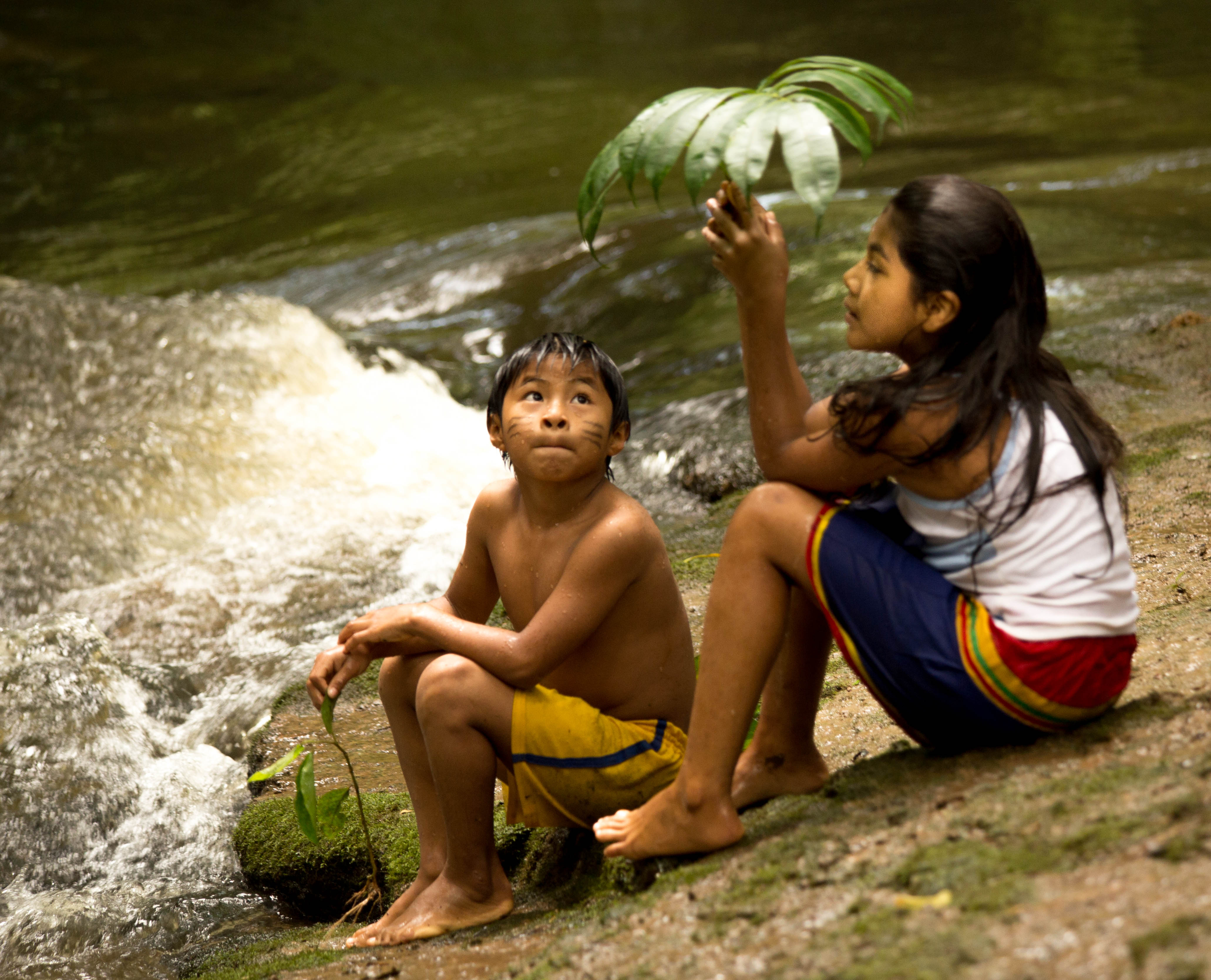 Cofán