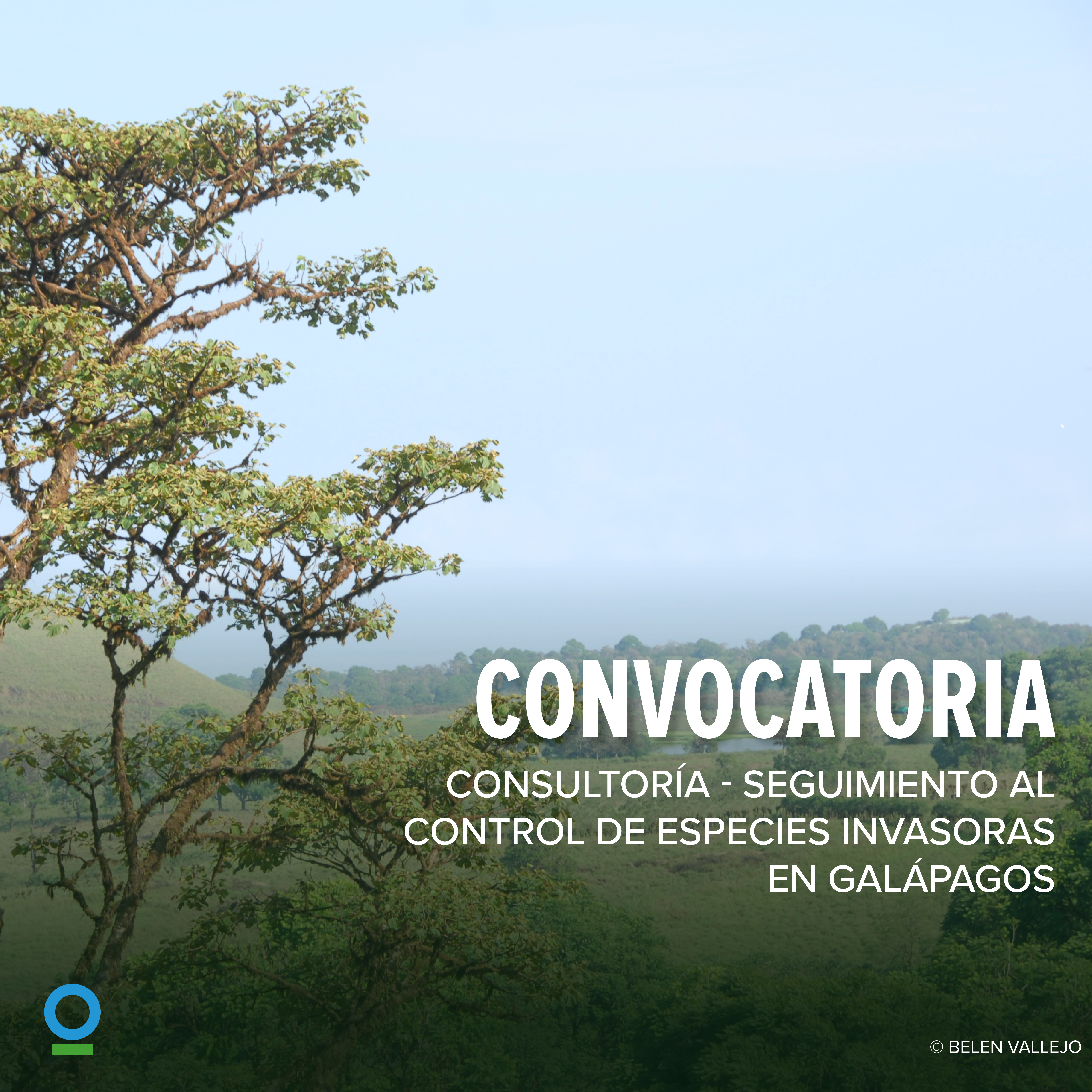 Convocatoria GPS Convocatoria GPS
