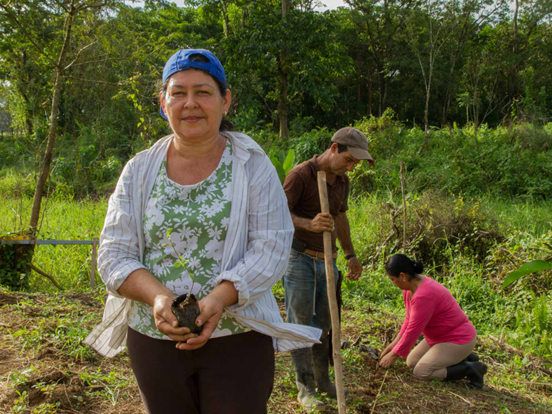 Thrive farmer female Thrive farmer female