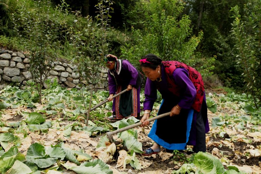 tibetanwomen