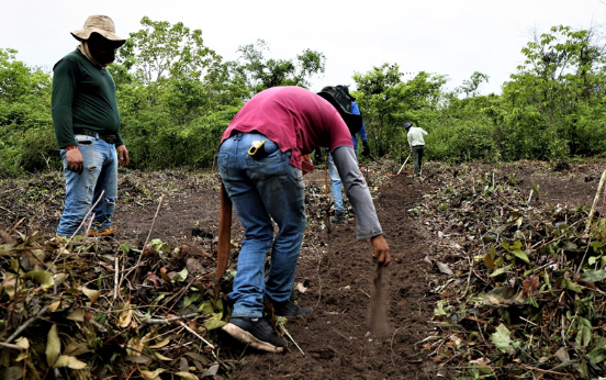 © CONSERVAÇÃO INTERNACIONAL / ARQUIVO © CONSERVAÇÃO INTERNACIONAL / ARQUIVO