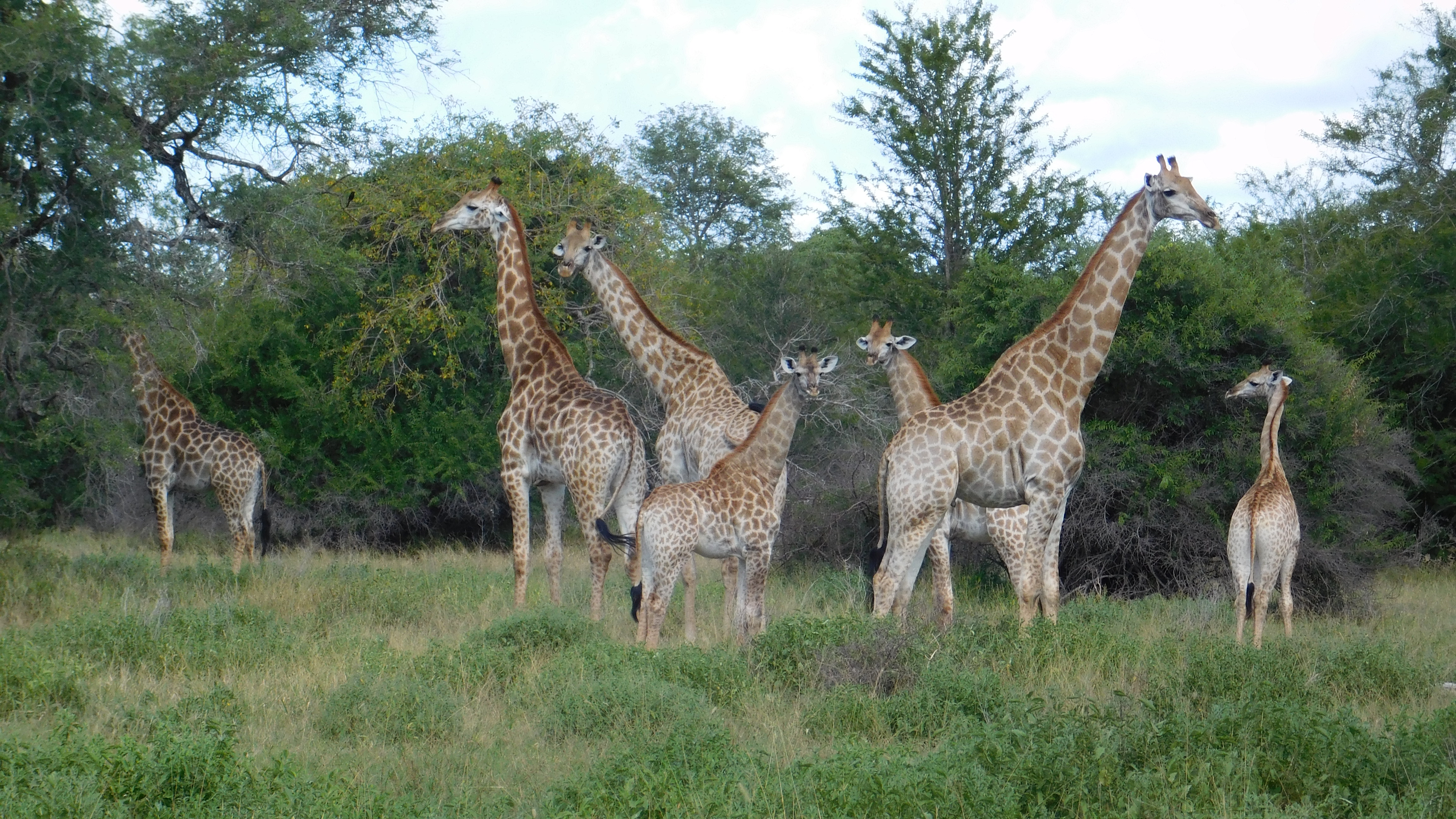 Zinave National Park, Photo Credit Tabby Njunge Zinave National Park, Photo Credit Tabby Njunge