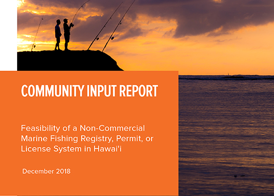 Community_Input_Report_1.7.2019_cover Community_Input_Report_1.7.2019_cover