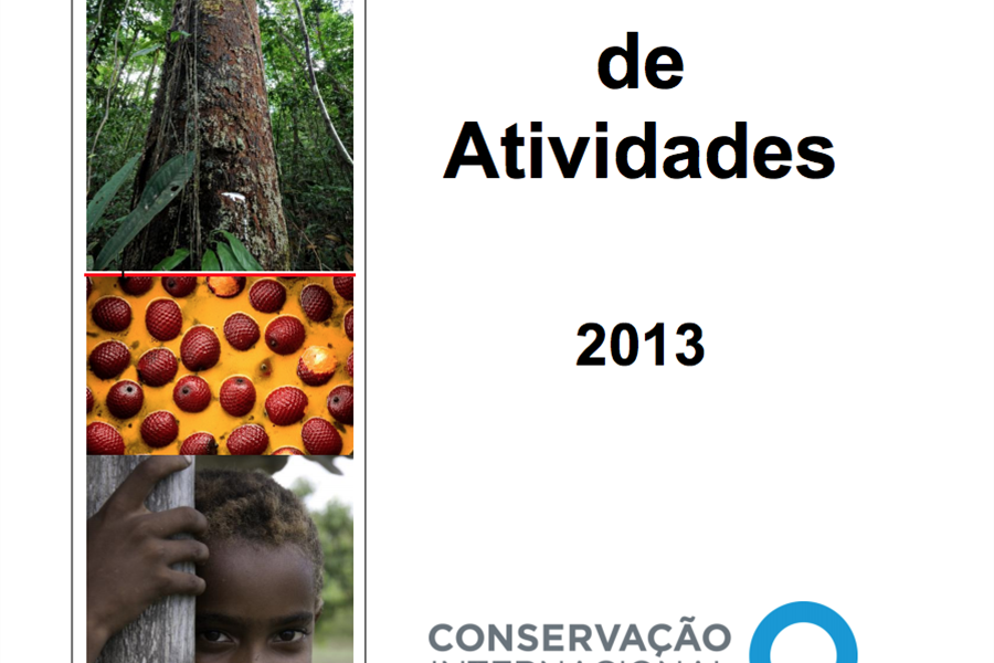 Relatorio-de-Atividades-2013 Relatório de Atividades 2013
