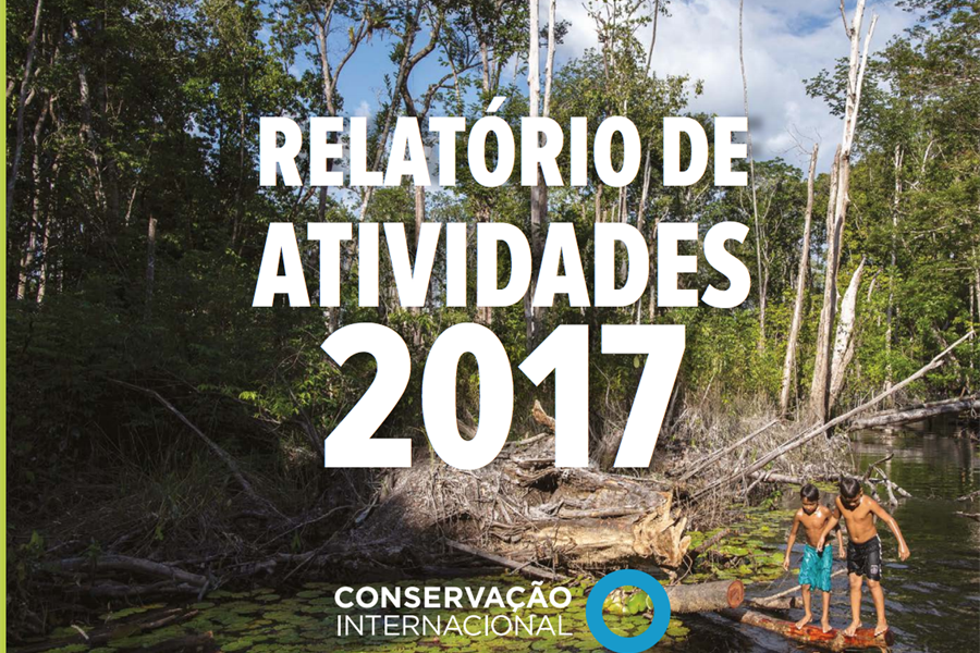 Relatorio-de-Atividades-2017 Relatório de Atividades 2017