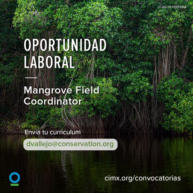 MangroveCoord MangroveCoord